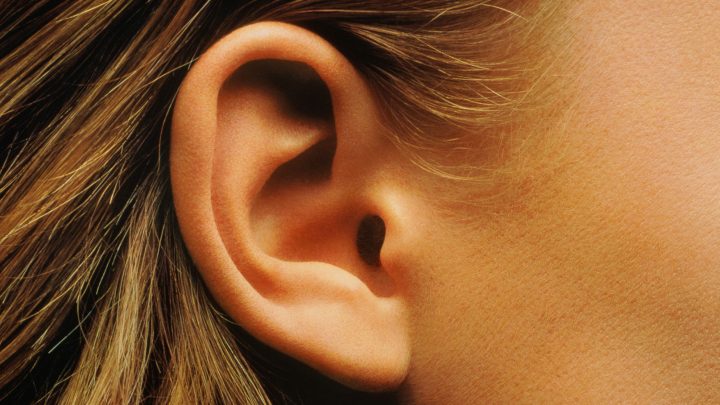 L&rsquo;oreille absolue : c&rsquo;est quoi ?