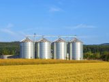 Coopérative-agricole-qu'est-ce-que-cest