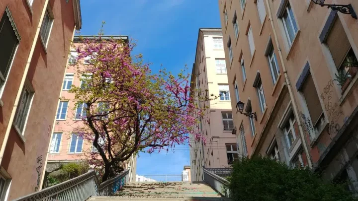 Lyon Croix Rousse : Le plus beau quartier de Lyon