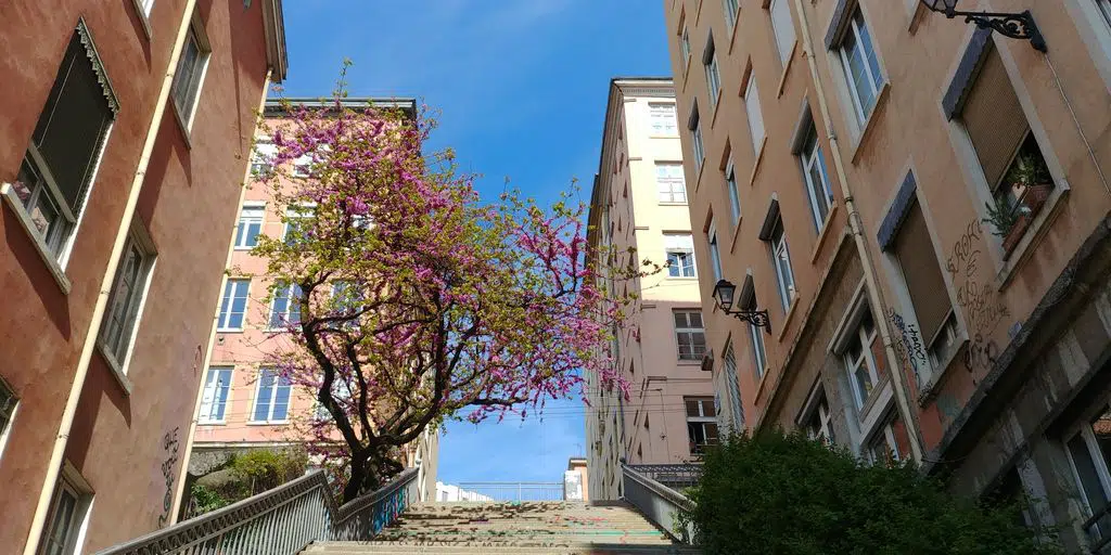 Lyon Croix Rousse : Le plus beau quartier de Lyon