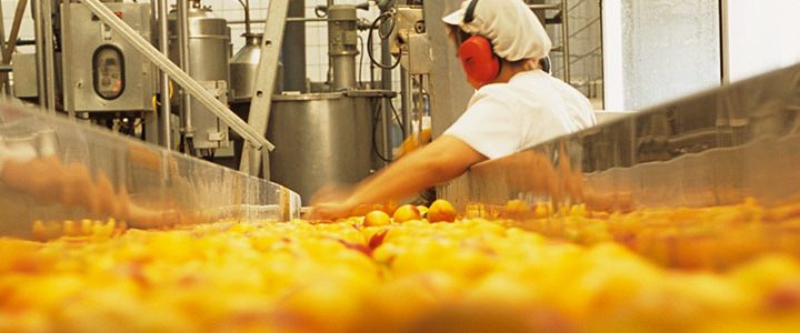 La formation HACCP, qu’est-ce que c’est et comment la financer ?