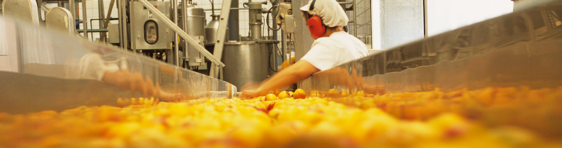 La formation HACCP, qu’est-ce que c’est et comment la financer ?